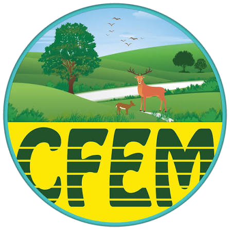 College of Forestry and Environmental Management Logo